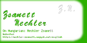 zsanett mechler business card